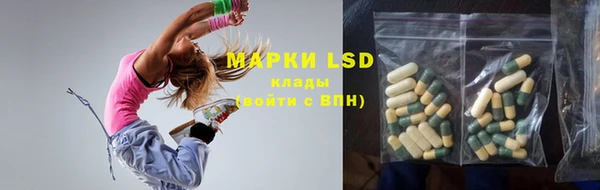 шишки Богородицк