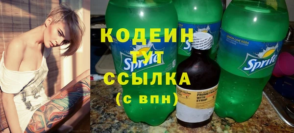 шишки Богородицк