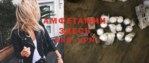 шишки Богородицк